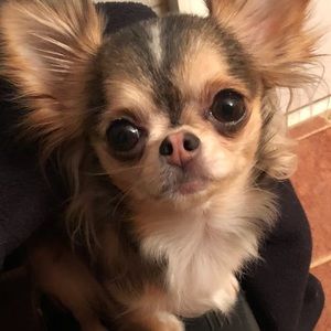 Meet your Posher, Kasey